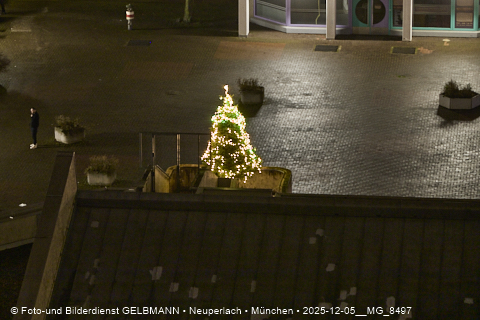 05.12.2025 - Unser Weihnachtsbaum in meiner Burg in Neuperlach
